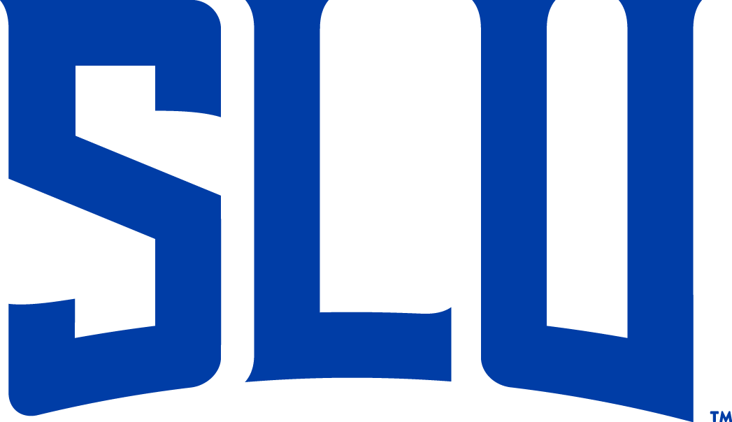 Saint Louis Billikens 2015-Pres Wordmark Logo v5 iron on transfers for T-shirts